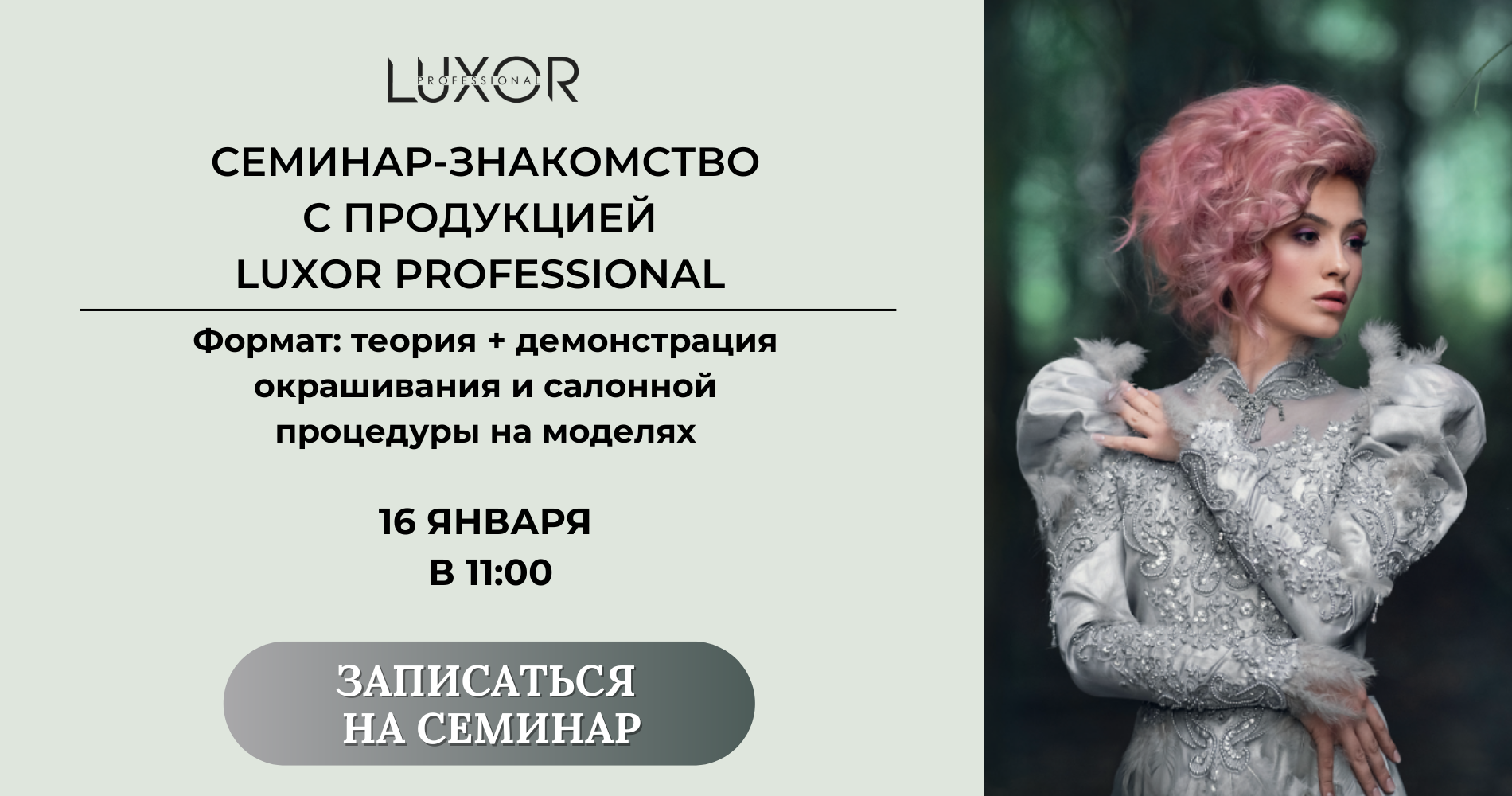 Семинар luxor